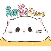 Baby Cat Pop-Ups 4 Sticker for LINE & WhatsApp | ZIP: GIF & PNG
