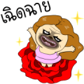 Mao Whatta Pug: Bloom Mao Whatta Pug: Bloom