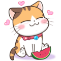 Soidow Cat: Summer