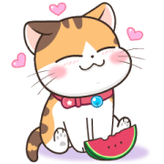 Soidow Cat: Summer Sticker for LINE & WhatsApp | ZIP: GIF & PNG
