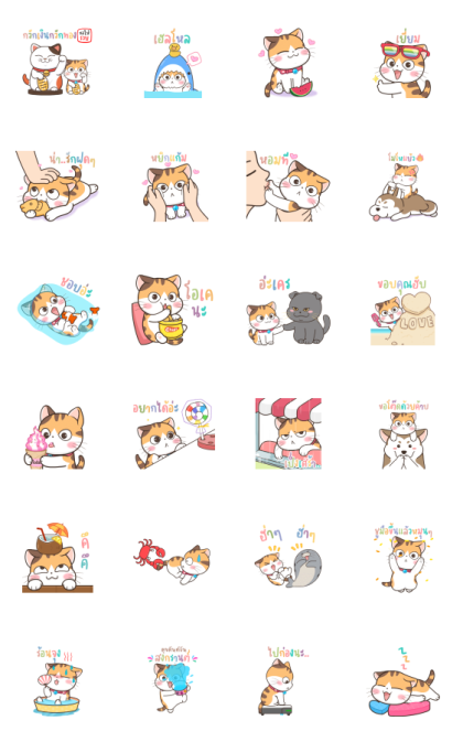 Soidow Cat: Summer Line Sticker GIF & PNG Pack: Animated & Transparent No Background | WhatsApp Sticker