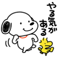 Yuji Nishimura Draws Snoopy