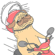 Brainholesky Daily Life Big Stickers 1 Sticker for LINE & WhatsApp | ZIP: GIF & PNG