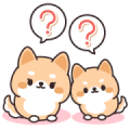 Contact of Shiba Inu Parent and Child Contact of Shiba Inu Parent and Child