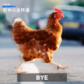 Go APsolutely Wild! Animal Sounds Memes