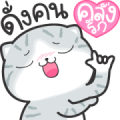 Munkaew Funny Cat 2 Munkaew Funny Cat 2