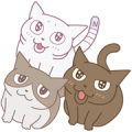 ANIME KURUNEKO ANIME KURUNEKO