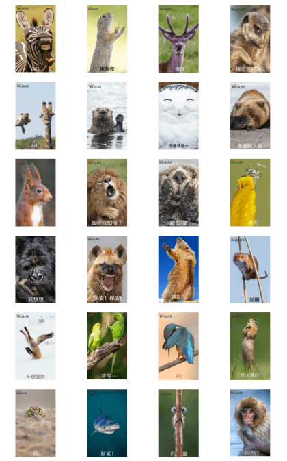 Comedy Wildlife Photography Awards Line Sticker GIF & PNG Pack: Animated & Transparent No Background | WhatsApp Sticker