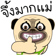 Mao Whatta Pug: Hashtags Mao Whatta Pug: Hashtags Sticker for LINE & WhatsApp | ZIP: GIF & PNG