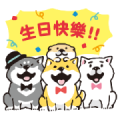 SHIBANBAN: Chinese 5th Anniversary