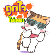 Soidow Cat 5 Sticker for LINE & WhatsApp | ZIP: GIF & PNG