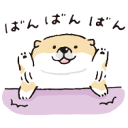 SHIBANBAN × LINE NEWS Sticker for LINE & WhatsApp | ZIP: GIF & PNG