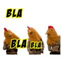 Warkop DKI Reborn: Jangkrik Boss Part 2 Sticker for LINE & WhatsApp | ZIP: GIF & PNG