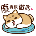 LINE TIMELINE × Shibasays