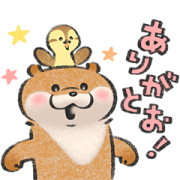 Cute lie otter × LINE Pay Sticker for LINE & WhatsApp | ZIP: GIF & PNG