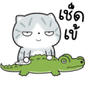 Munkaew Funny Cat 3 Sticker for LINE & WhatsApp | ZIP: GIF & PNG