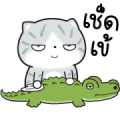 Munkaew Funny Cat 3