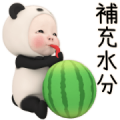 Panda Towel Summer Daily Sticker for LINE & WhatsApp | ZIP: GIF & PNG