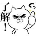 Attractive eye’s cat