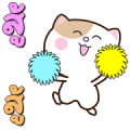 Meow Cat Buddies × RMS Hit Music Everyday