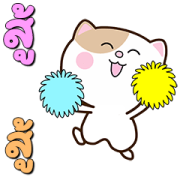 Meow Cat Buddies × RMS HitMusic Everyday Sticker for LINE & WhatsApp | ZIP: GIF & PNG