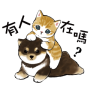 Shiba and Nyan Sticker for LINE & WhatsApp | ZIP: GIF & PNG