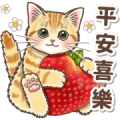 Pop-Up Stickers of Gentle Cats