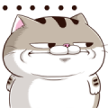 LINE Shopping × Fat Cat Ami