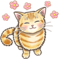 Pop-Up Stickers of Gentle Cats 2 Sticker for LINE & WhatsApp | ZIP: GIF & PNG