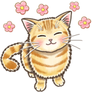 Pop-Up Stickers of Gentle Cats 2 Sticker for LINE & WhatsApp | ZIP: GIF & PNG