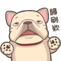 French Bulldog PIGU Animated Stickers 24
