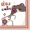 House Charlem Cat: Cute