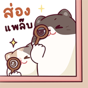 House Charlem Cat: Cute House Charlem Cat: Cute Sticker for LINE & WhatsApp | ZIP: GIF & PNG