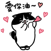 LINE Giftshop × Dot Cat Sticker for LINE & WhatsApp | ZIP: GIF & PNG