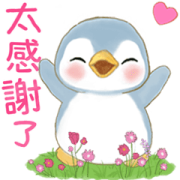 Soda Penguin Polite Animated Stickers Soda Penguin Polite Animated Stickers Sticker for LINE & WhatsApp | ZIP: GIF & PNG