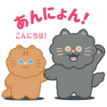 TIKI & TAKA TIKI & TAKA