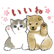 shiba and nyan & LINE Score shiba and nyan & LINE Score Sticker for LINE & WhatsApp | ZIP: GIF & PNG