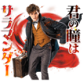 Fantastic Beasts Fantastic Beasts