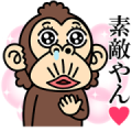 Funny Monkey Kansai Couple (Girl Monkey)