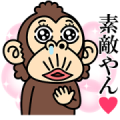 Funny Monkey Kansai Couple (Girl Monkey) Funny Monkey Kansai Couple (Girl Monkey)