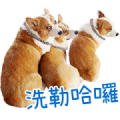 Elanco ft. Taiwan Lian Huan Pao & Uncle Liu Elanco ft. Taiwan Lian Huan Pao & Uncle Liu