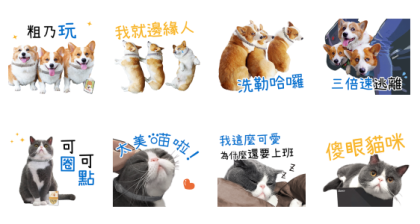 Elanco ft.Taiwanlianhuanpao & Uncle Liu Line Sticker GIF & PNG Pack: Animated & Transparent No Background | WhatsApp Sticker