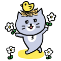 Gray cat Meow meow Happy days