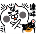 JiangZi Meow: The Cats Are Back 1