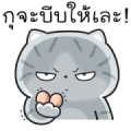 Munkaew Funny Cat V.5