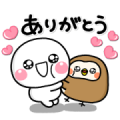 SHIROMARU × HABA