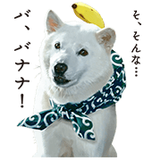 Shirato Family Sticker for LINE & WhatsApp | ZIP: GIF & PNG