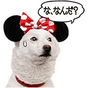 SoftBank "Disney STYLE" Shirato Family Sticker for LINE & WhatsApp | ZIP: GIF & PNG
