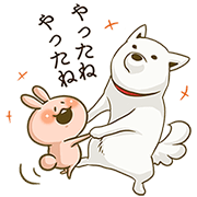 SoftBank Shirato Family × chackmo Sticker for LINE & WhatsApp | ZIP: GIF & PNG