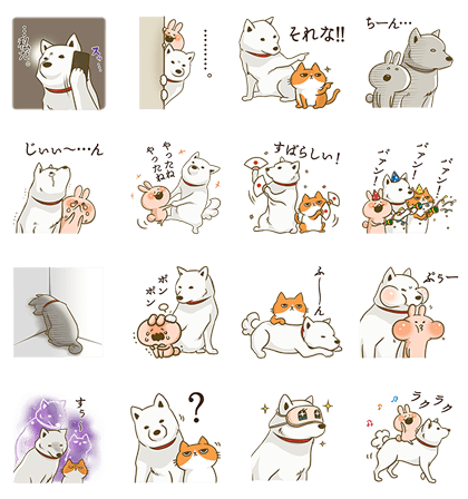 SoftBank Shirato Family × chackmo Line Sticker GIF & PNG Pack: Animated & Transparent No Background | WhatsApp Sticker